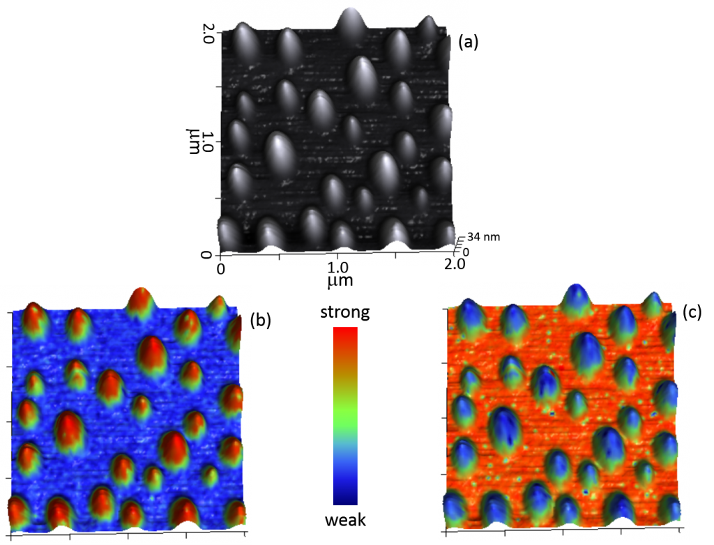 Sample: 5 nm of PS homopolymer that is spin-coated onto a 2 nm thick PMMA homopolymer on top of silicon substrate. PiFM reveals that PS has dewetted into nanoscale droplets.